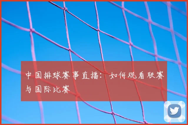 中国排球赛事直播：如何观看联赛与国际比赛